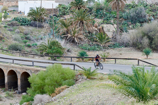 Fit mature man in cycling gear taking his mountain bike onto a trail at the side of a road